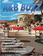 Antigua and Barbuda Buzz Cover