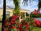 Antigua's Yepton Estate Cottages
